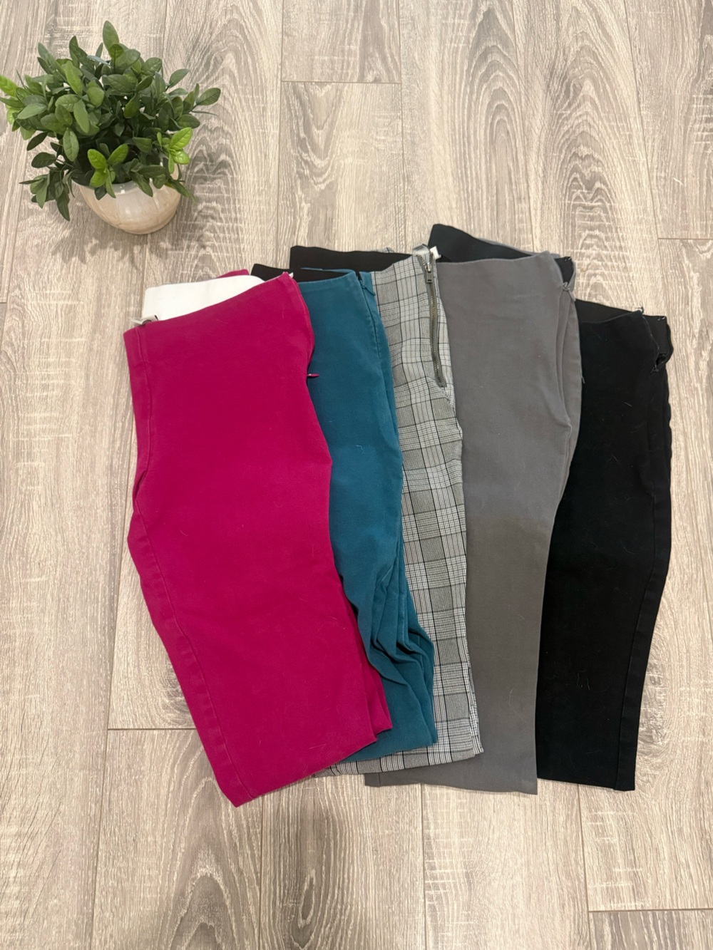 a new day Pull-On Bottoms Bundle